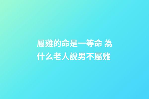 屬雞的命是一等命 為什么老人說男不屬雞